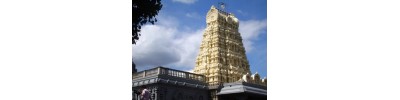 ஹைகேட்ஹில் - இலண்டன்